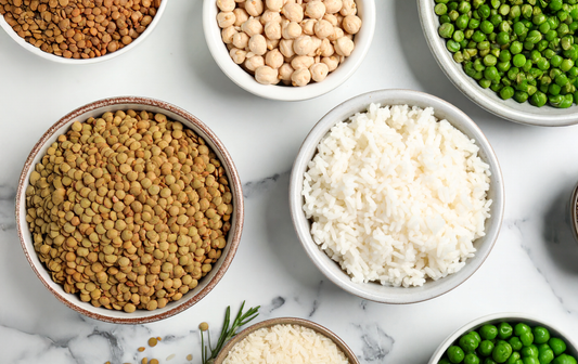 O Guia Completo da Proteína Vegetal