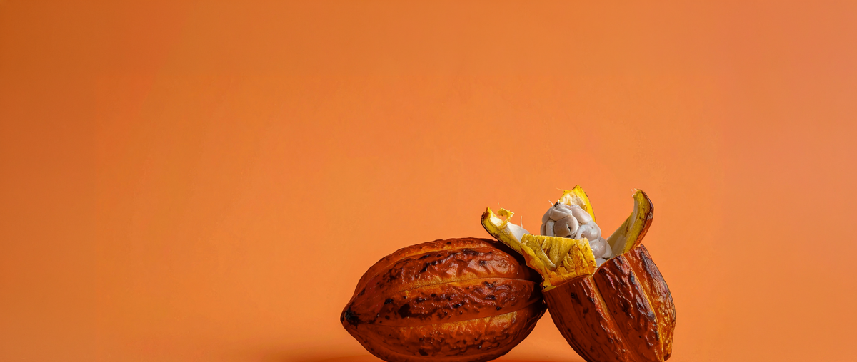 Conheça a proteína vegetal Wood Superfoods